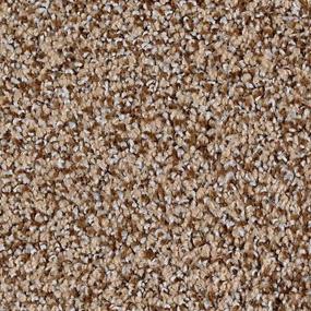 Textured Saxony Fortress Brown Carpet