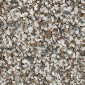Textured Saxony Frontier Brown Carpet