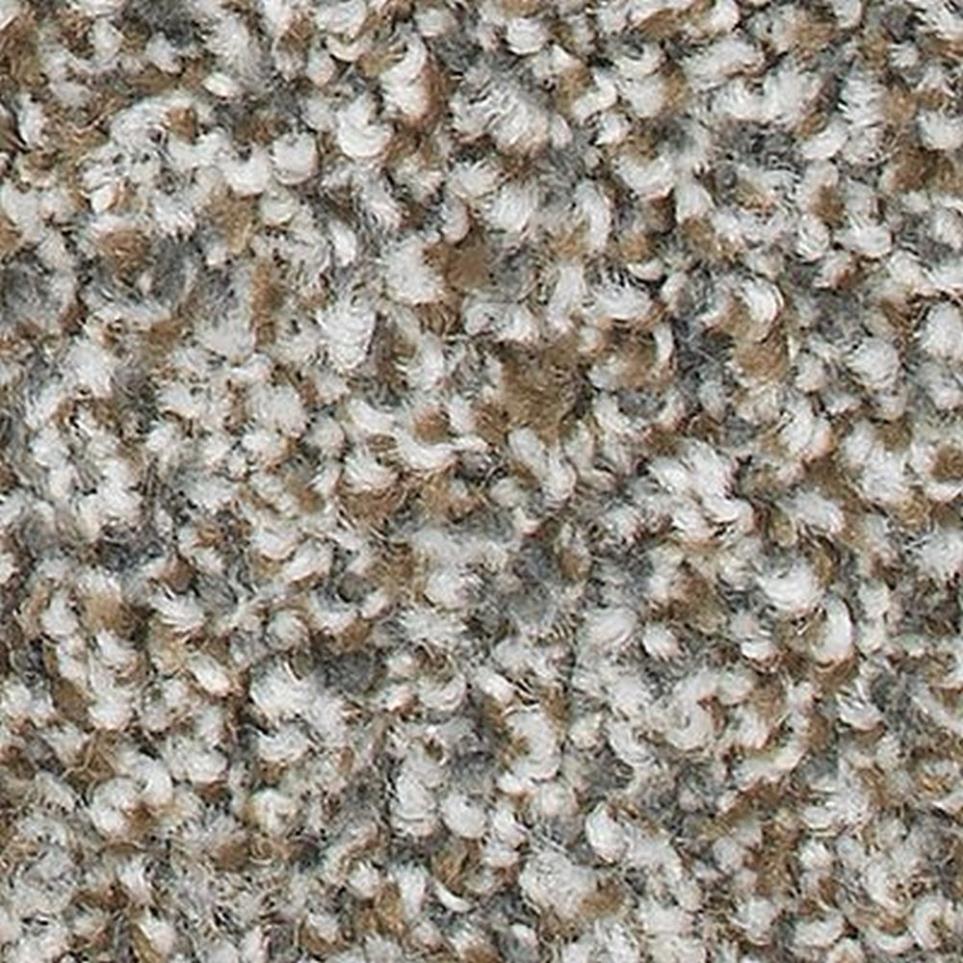 Textured Saxony Frontier Brown Carpet