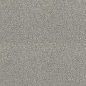 Textured Saxony Most Desired Gray Carpet