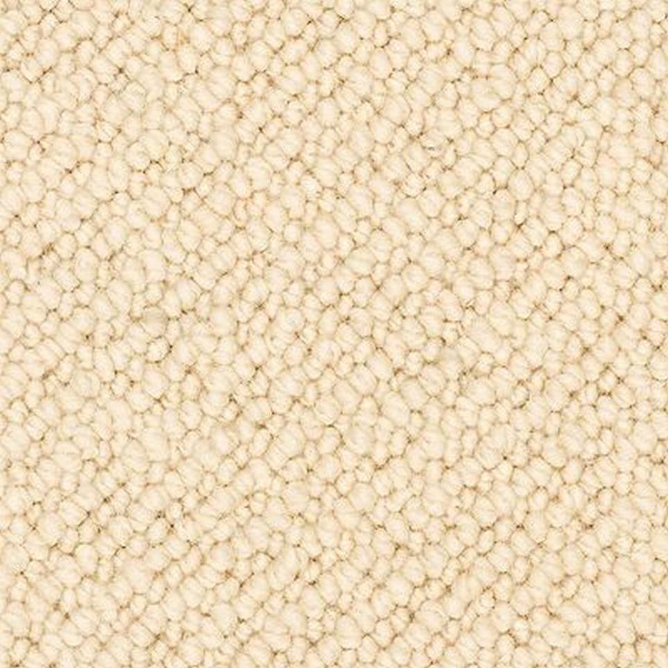 Loop Cream Beige/Tan Carpet