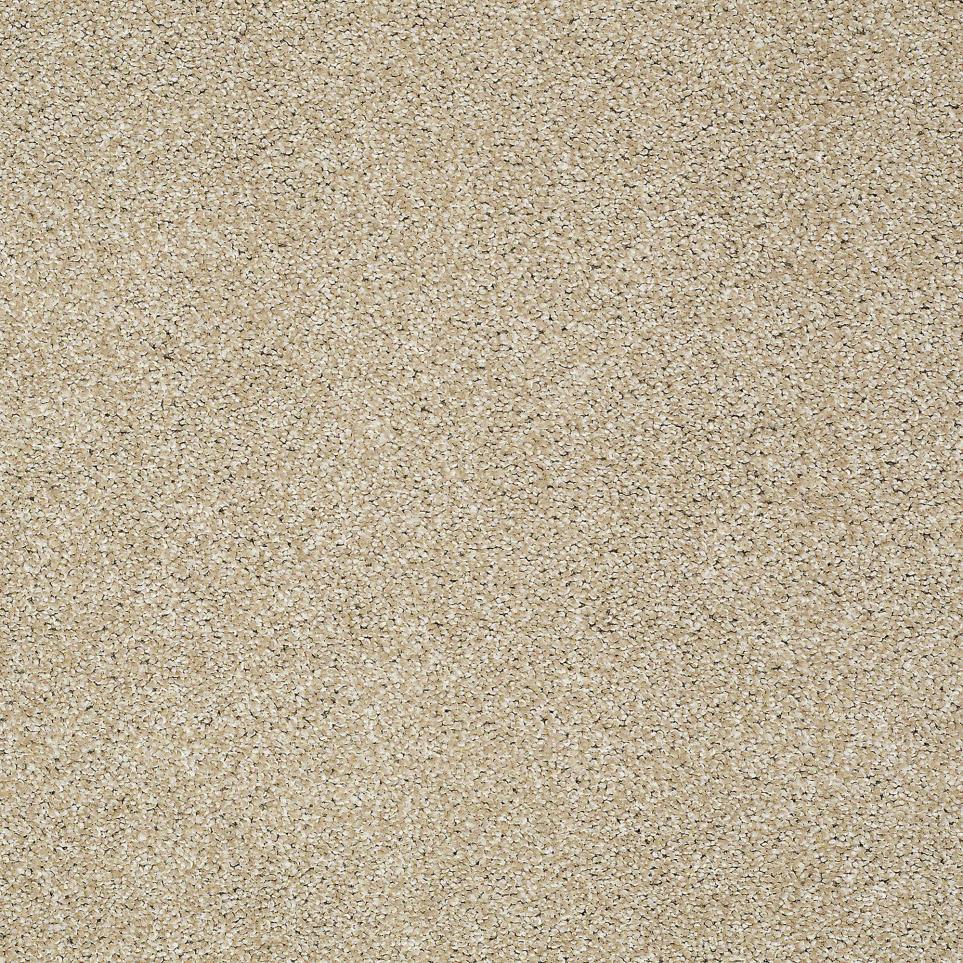 Texture Raffia Beige/Tan Carpet
