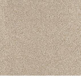 Textured Saxony Corgi Brown Carpet