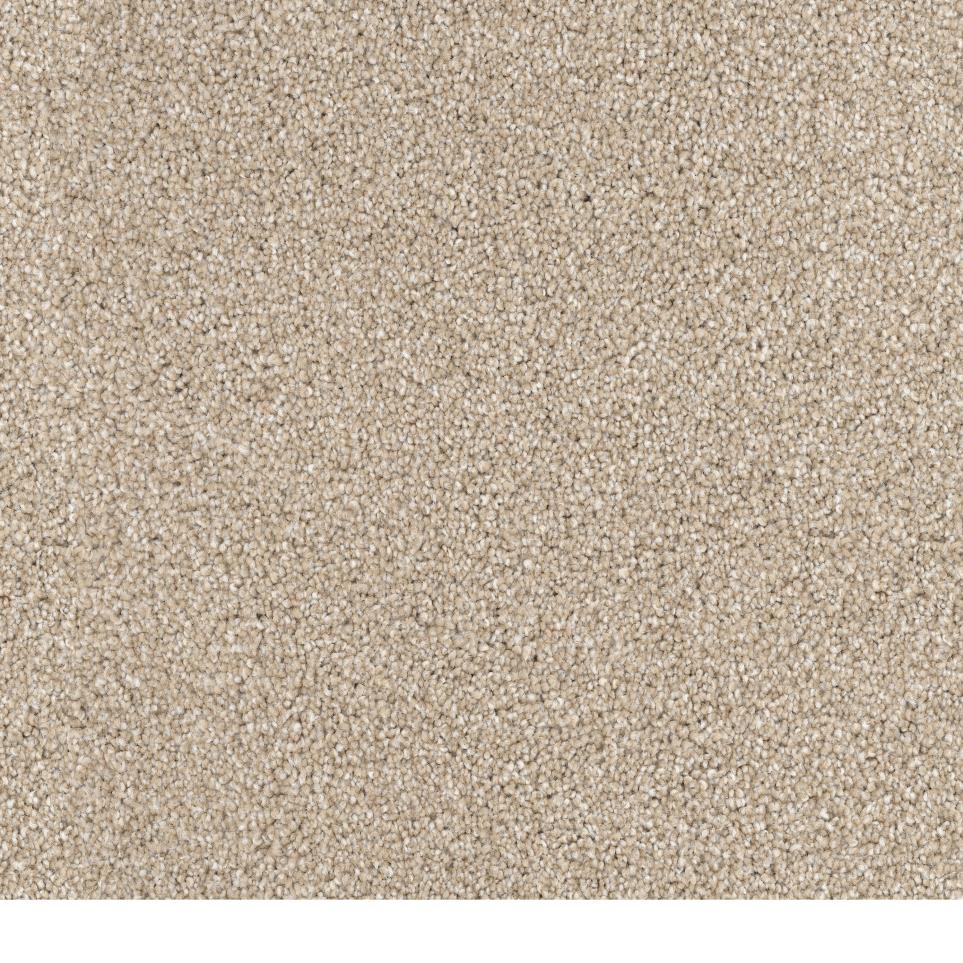 Textured Saxony Corgi Brown Carpet