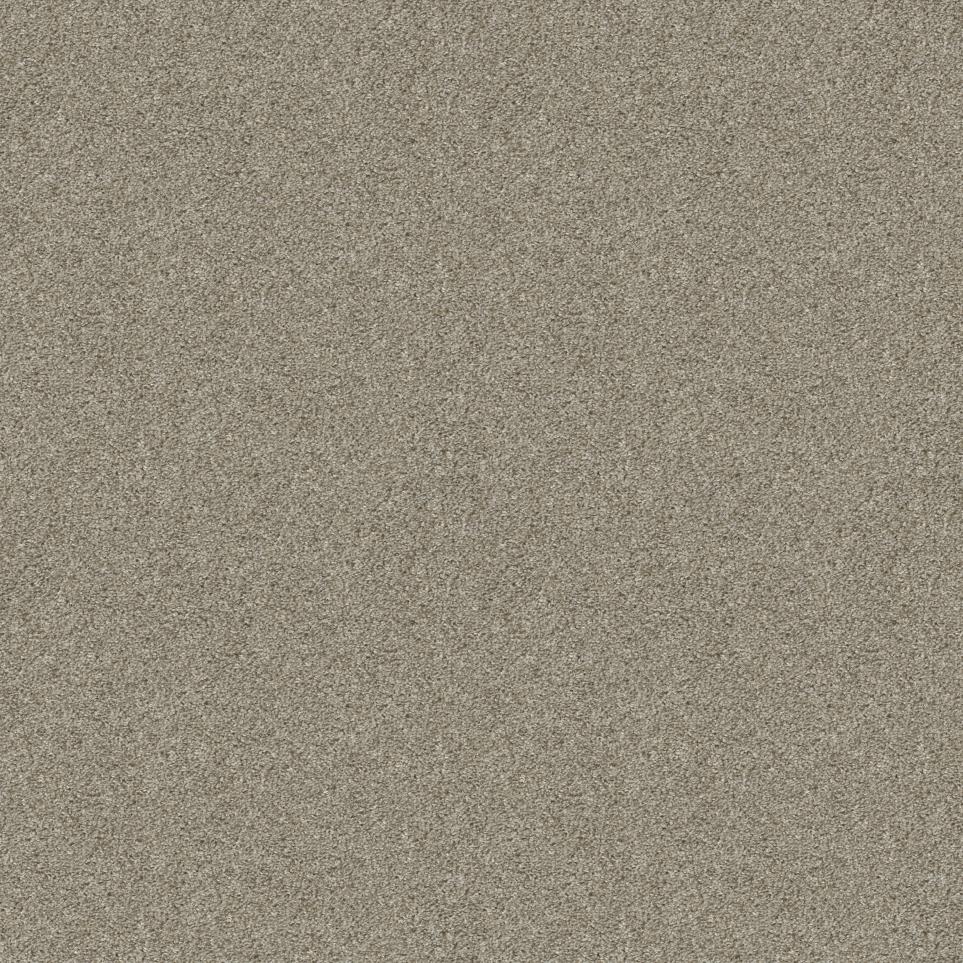 Texture Bare Mineral Beige/Tan Carpet