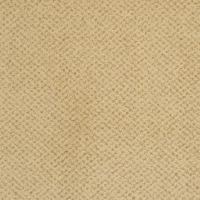 Pattern Sunset Beige/Tan Carpet