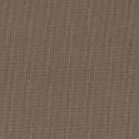 Pattern Outrigger Brown Carpet