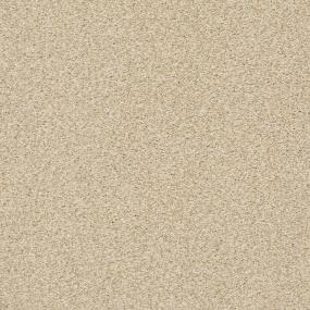 Plush Saxony Nutria Beige/Tan Carpet