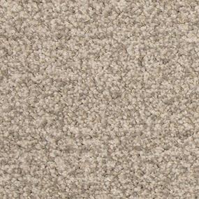 Textured Saxony Dove Tail Beige/Tan Carpet