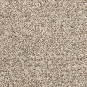 Texture Dove Tail Beige/Tan Carpet