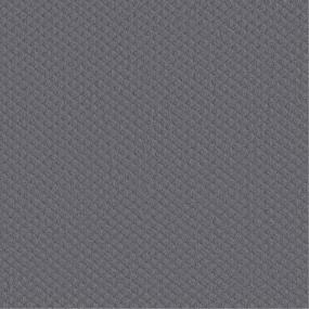 Pattern Graphite Gray Carpet