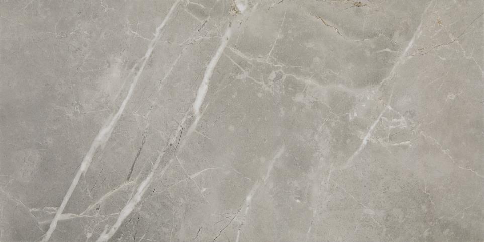 Tile Dove Matte Gray Tile