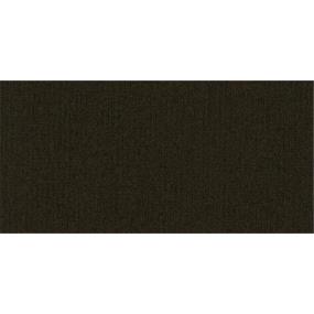 Loop Established Brown Carpet