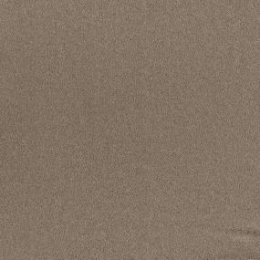 Textured Saxony Brownie Brown Carpet