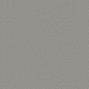 Casual Texture Radiant Gray Carpet