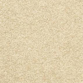 Casual Texture Scroll White Carpet