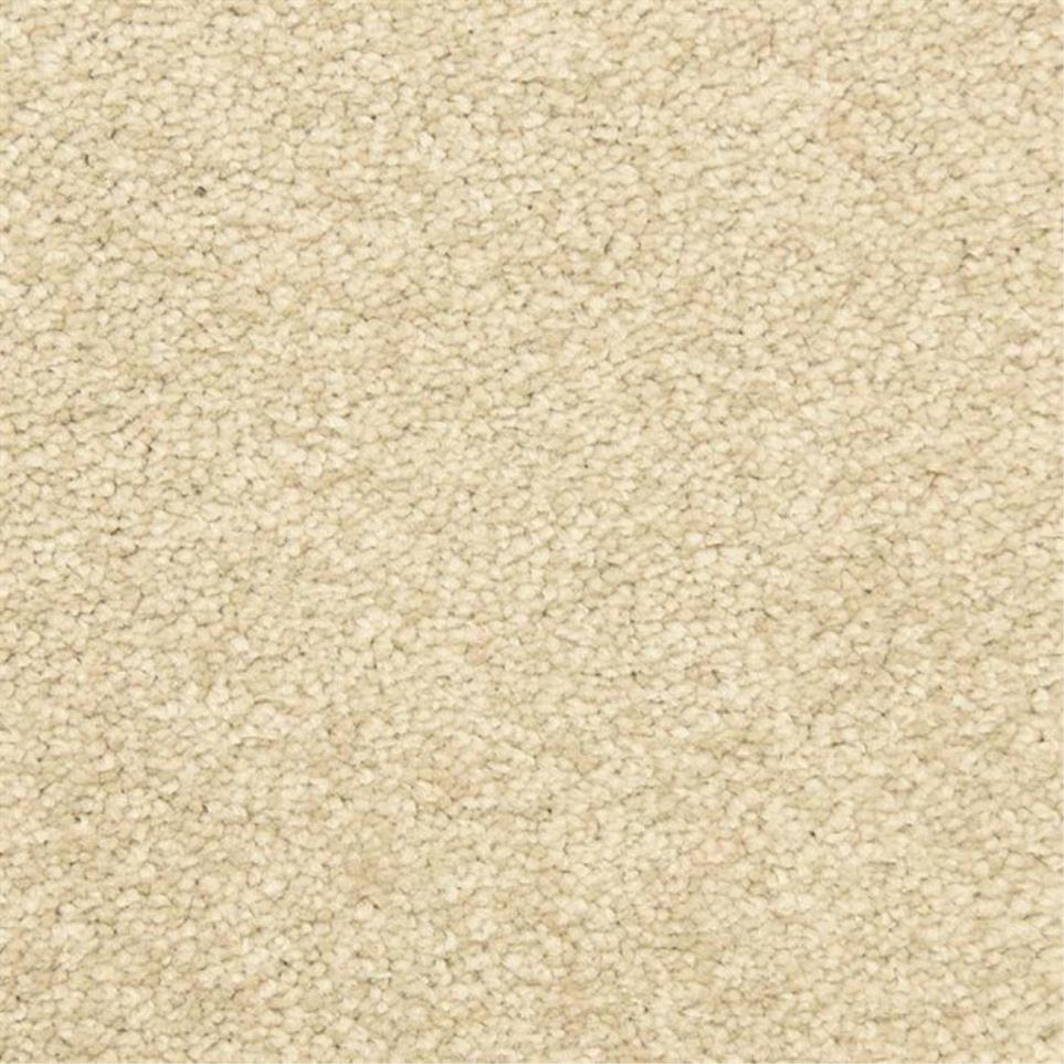 Casual Texture Scroll White Carpet