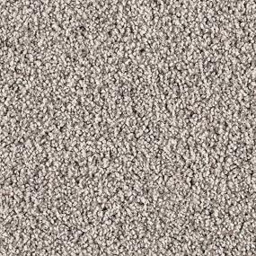 Textured Saxony Elegance Gray Carpet