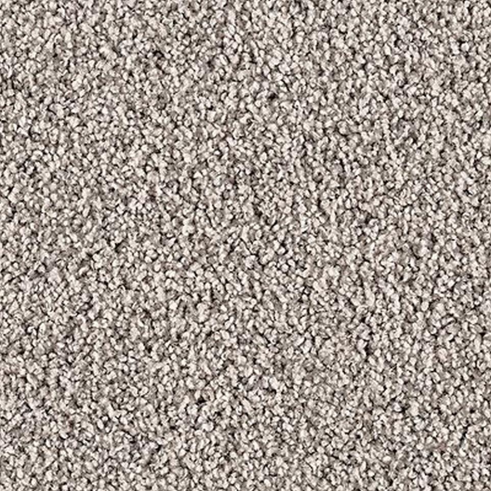 Textured Saxony Elegance Gray Carpet
