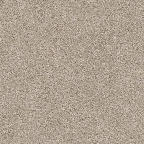 Textured Saxony Cedarbrook Beige/Tan Carpet