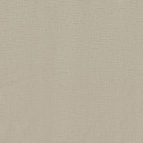 Pattern Glorify Beige/Tan Carpet