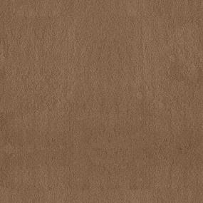 Plush Butternut Brown Carpet