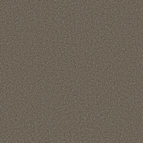 Textured Saxony Maple Syrup Brown Carpet