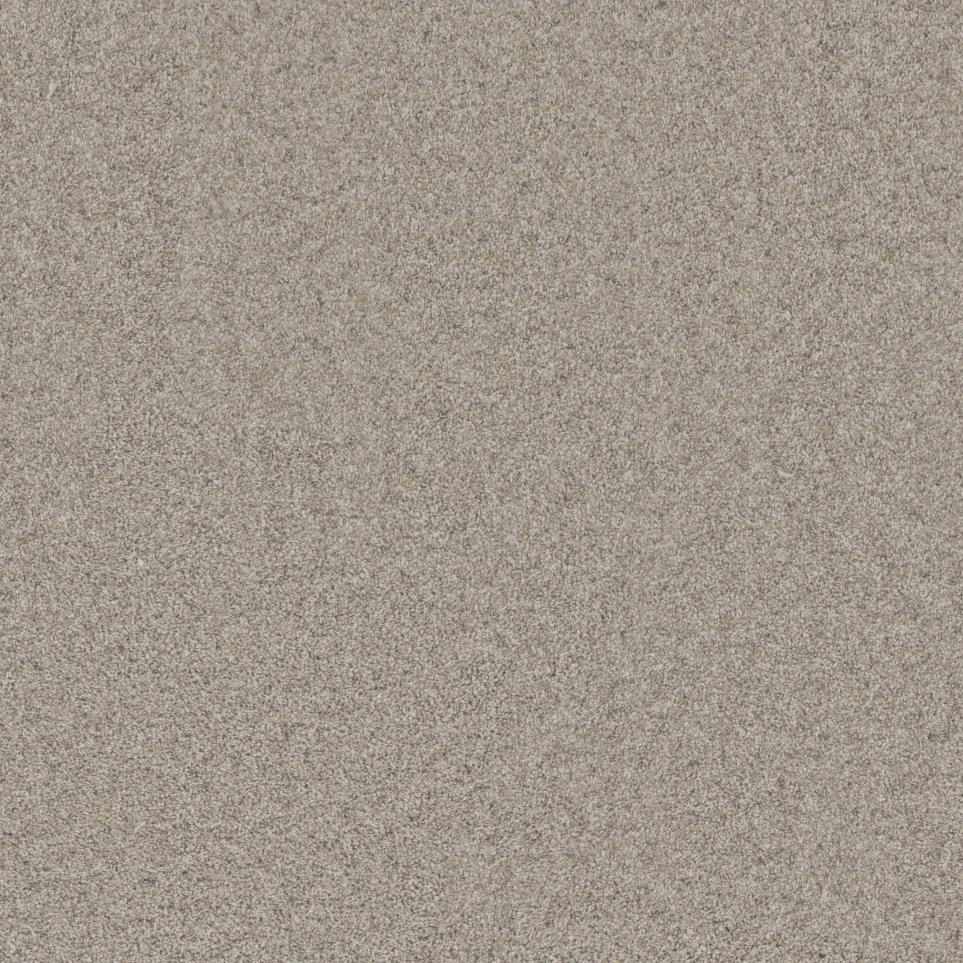 Textured Saxony Neighborhood Beige/Tan Carpet