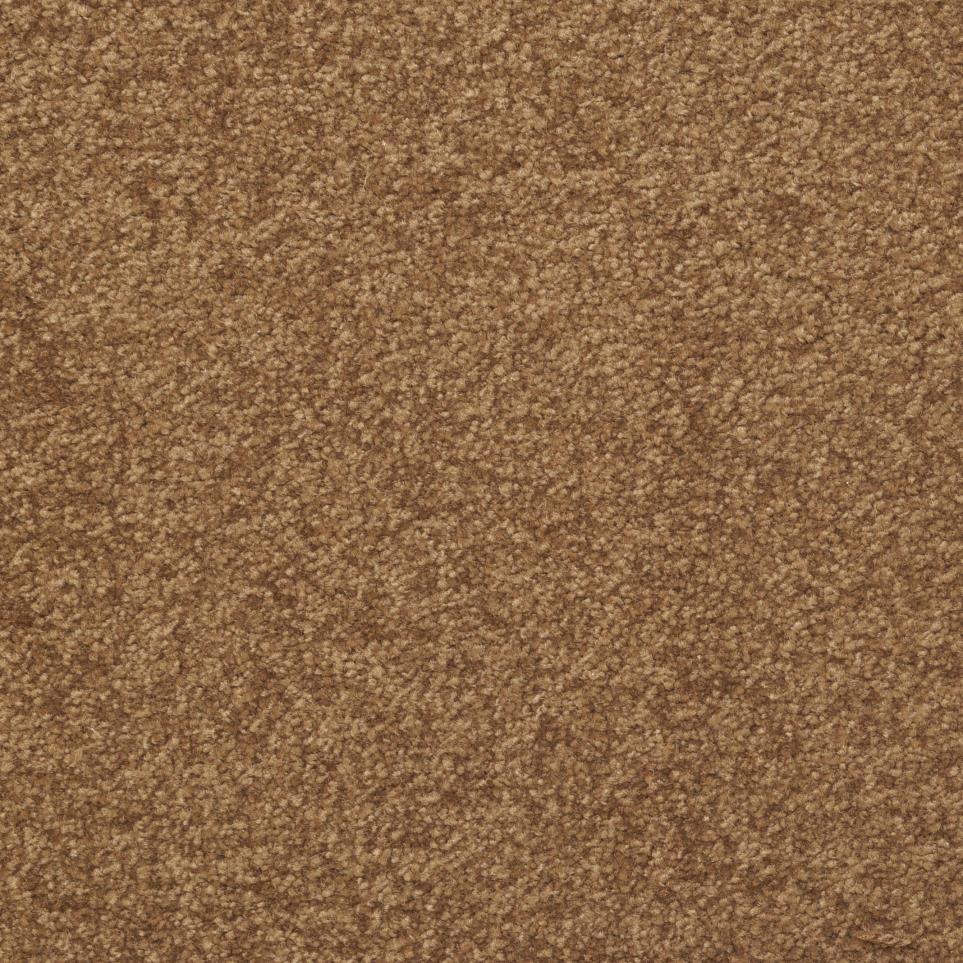 Textured Saxony Pelt Brown Carpet