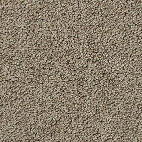 Textured Saxony Talbot Brown Carpet