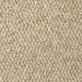 Textured Saxony Shoreline Beige/Tan Carpet