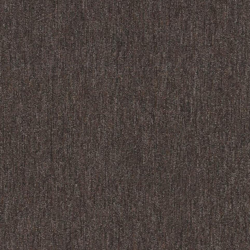 Loop Running Over Beige/Tan Carpet