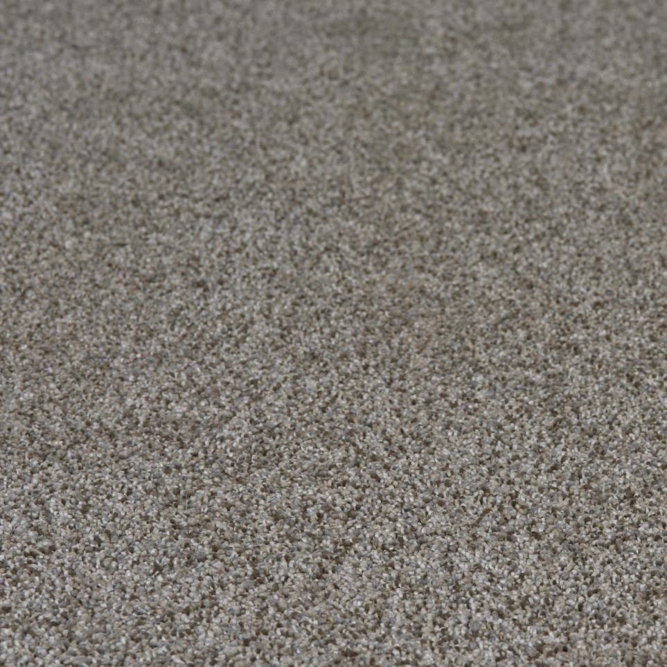 Texture Perfection Brown Carpet