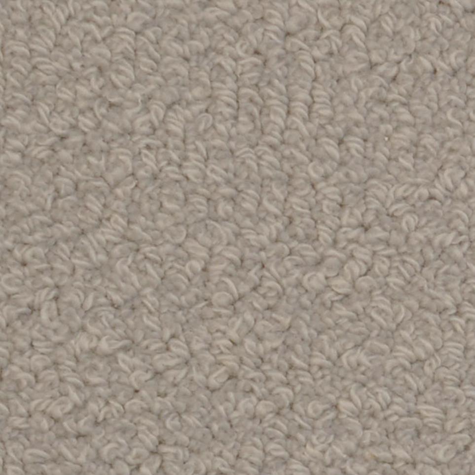 Loop Deblois Gray Carpet