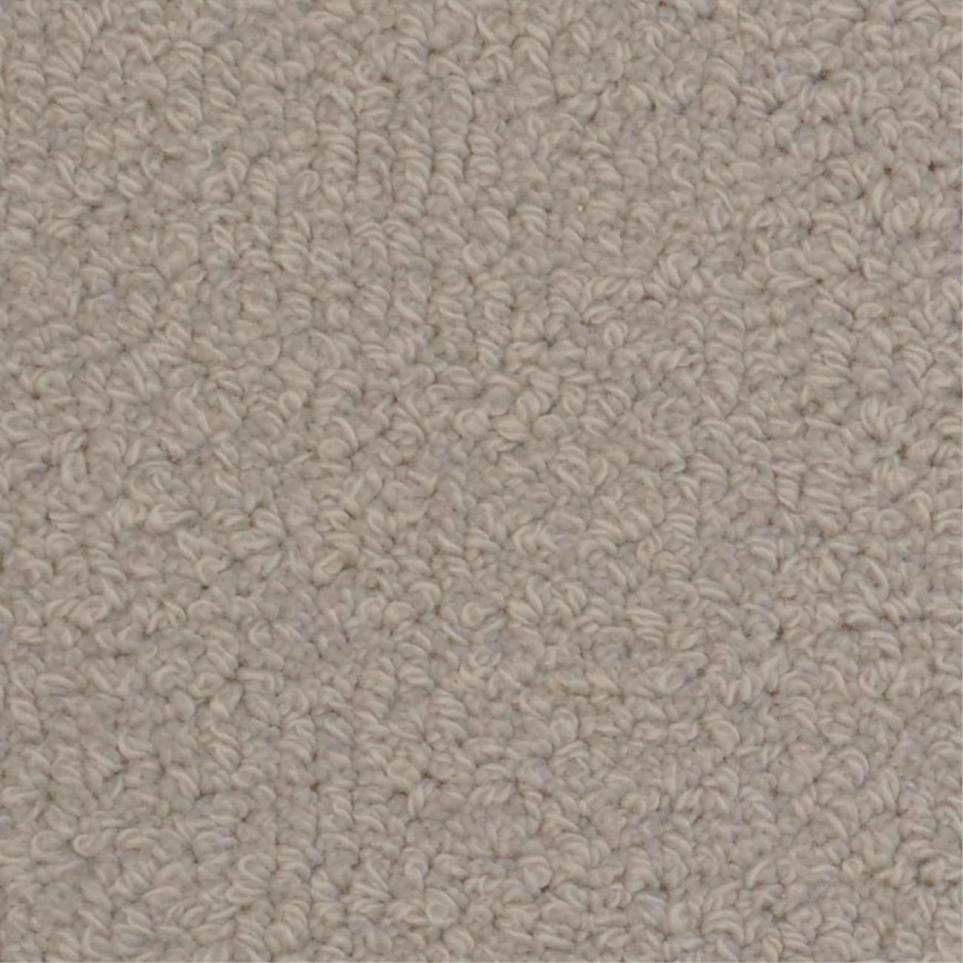 Loop Deblois Gray Carpet