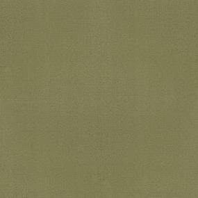 Loop Newt Green Green Carpet