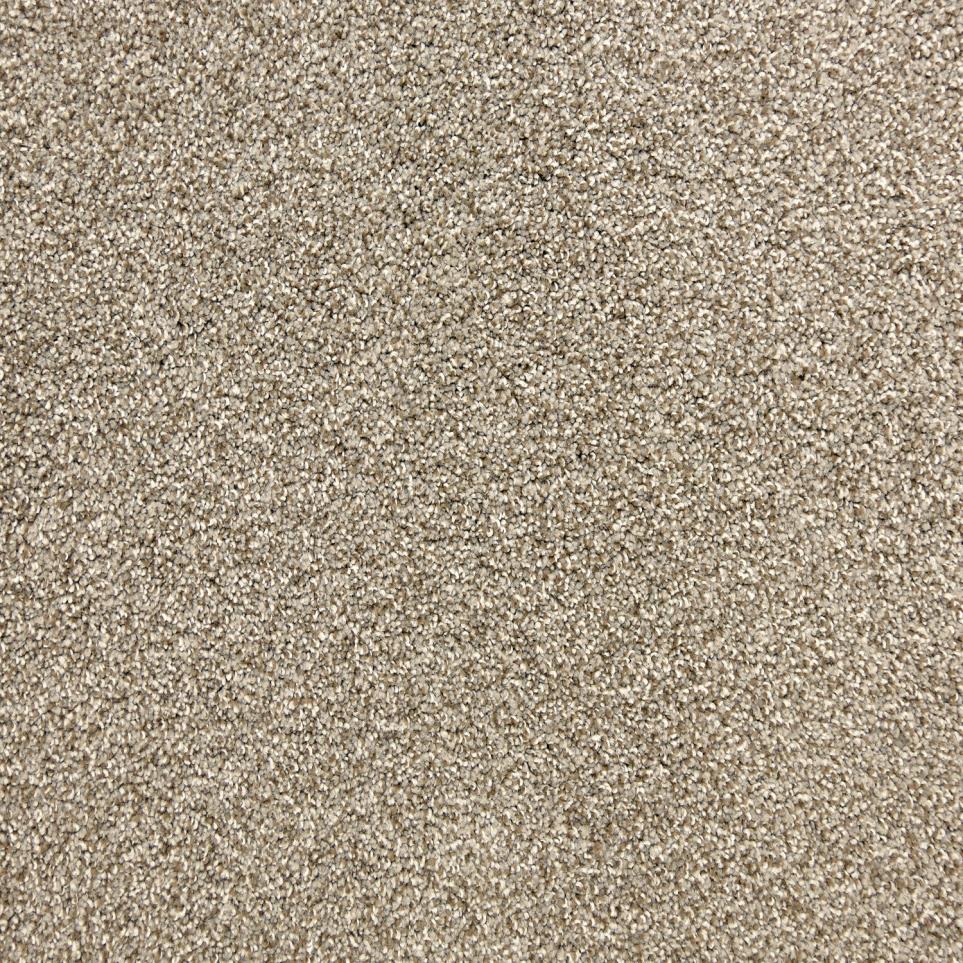 Texture Stonehenge Beige/Tan Carpet