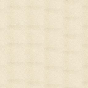 Textured Saxony Corinthian Beige/Tan Carpet