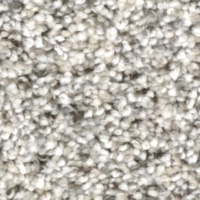 Textured Saxony Timeless Gray Carpet