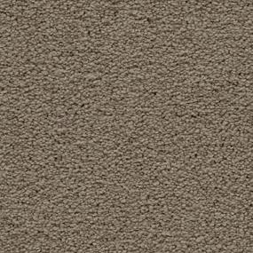 Textured Saxony Graceful Beige/Tan Carpet