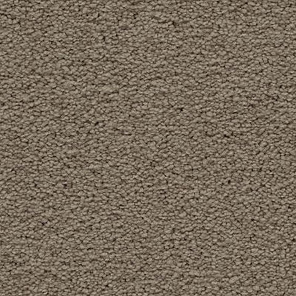 Textured Saxony Graceful Beige/Tan Carpet