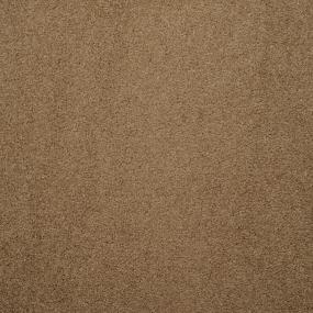 Casual Texture Safari Beige/Tan Carpet