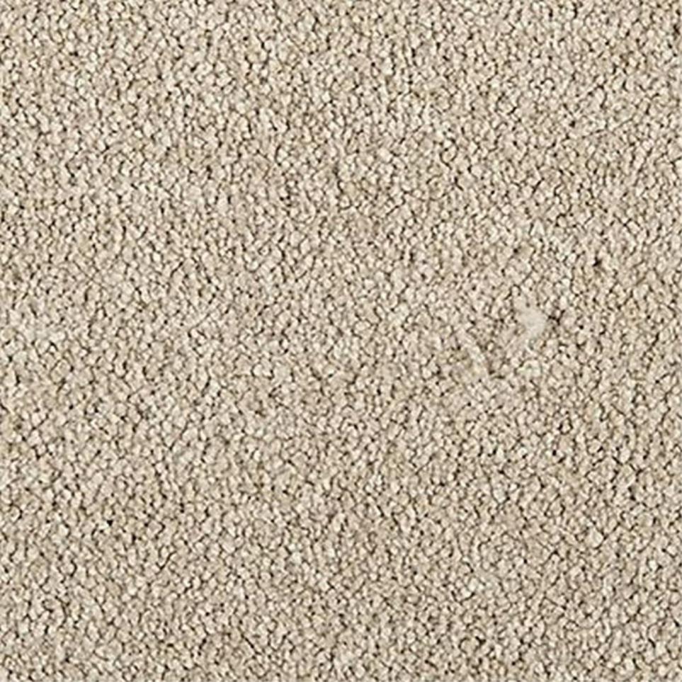 Textured Saxony Dusty Trail Beige/Tan Carpet