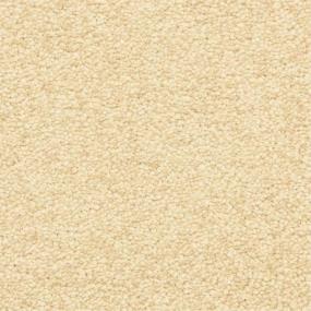 Casual Texture Brazil Nut Yellow Carpet