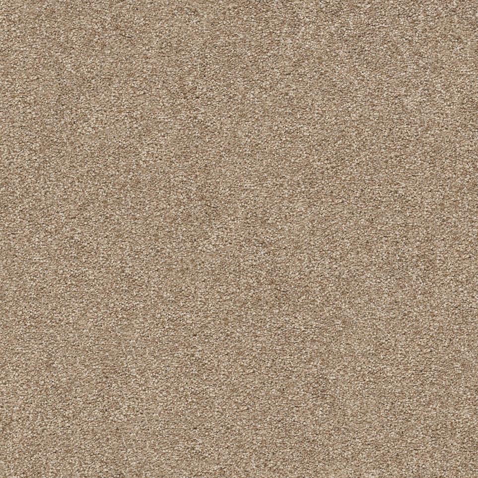 Texture Toffee  Carpet