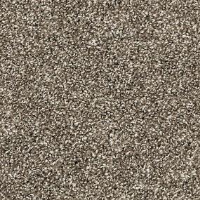 Textured Saxony Elegant Gray Carpet