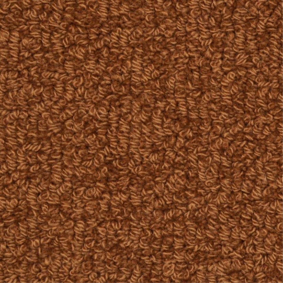 Loop Lemke Brown Carpet