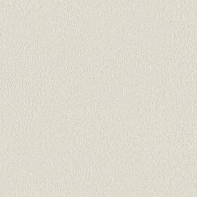 Texture Fluffy Cloud Beige/Tan Carpet