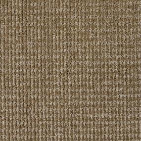 Pattern Poised Brown Carpet