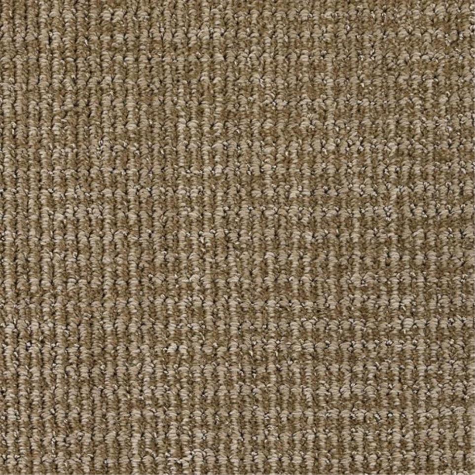 Pattern Poised Brown Carpet